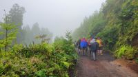 Insel Sao Miguel, Wanderung Sete Cidades bei echtem Azorenwetter