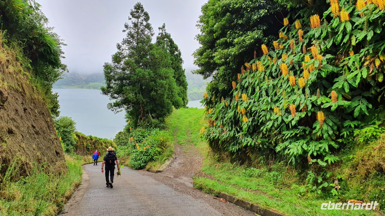 Insel Sao Miguel, Wanderung Sete Cidades