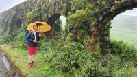 Insel Sao Miguel, Wanderung Sete Cidades