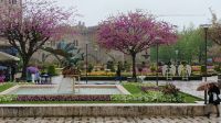 Judasbäume (blühen in der Karwoche) + Kunst im Park von Braga