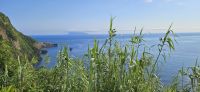 Küste von Flores und Insel Corvo