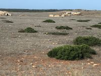 Karge Landschaft