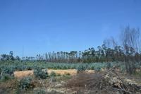 Kargerer Landschaft 