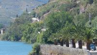 Kreuzfahrt auf dem Douro