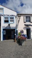 Lajes do Pico, Walbeobachtung