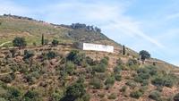 Landschaft am Douro 22