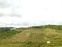 Landschaft am Douro