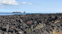 Lavafeld mit Blick zu den Felsen im Canal