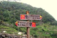 Levada Wanderung am Neujahrstag