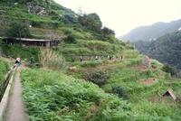 Levada Wanderung am Neujahrstag