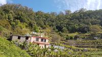 Levada von Manchico