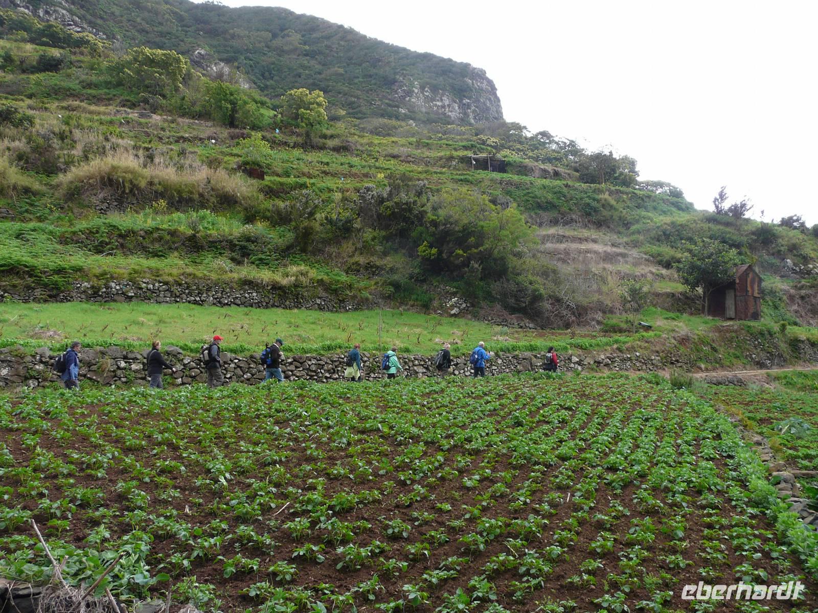 Levada von Maracos