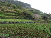 Levada von Maracos