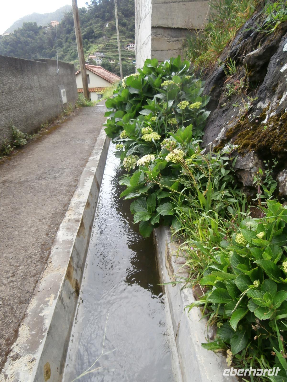 Levada von Marocos