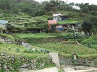 Levada von Marocos