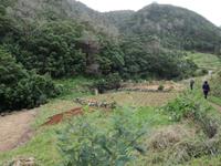 Levada von Marocos