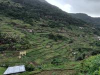 Levada von Marocos