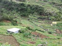 Levada von Marocos