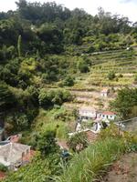 Levada von Marocos