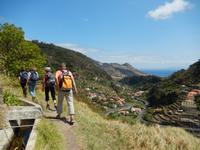 Levada von Marocos
