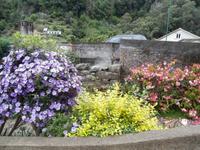 Levada von Marocos