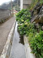 Levada von Marocos