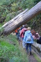 Levada-Wanderung 