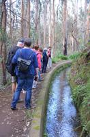 Levada-Wanderung 
