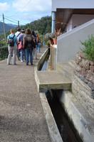 Levada-Wanderung 