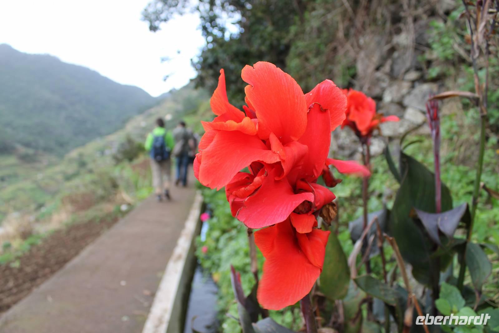 Levada-Wanderung