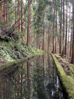 Levada-Wanderung
