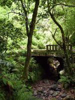 Levada-Wanderung