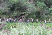Levada-Wanderung