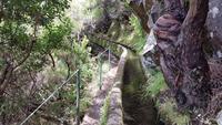 Levada