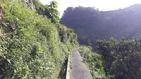 Levadawanderung (8)