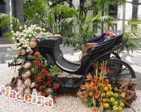 Madeira - Funchal