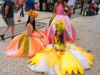 Madeira - Funchal
