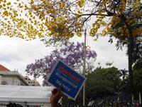 Madeira - Funchal