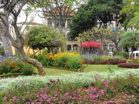 Madeira - Funchal