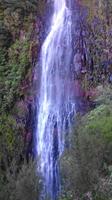 Madeira - Wanderung zu den 25 Quellen 
