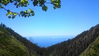 Madeira - Wanderung zu den 25 Quellen 