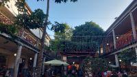 Madeira, Markthalle, Funchal. Silvester
