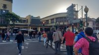 Madeira: Besuch der Markthalle in Funchal