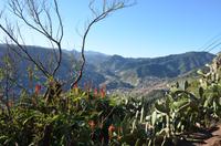 Madeiras Bergwelt
