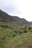 Madeiras Bergwelt