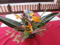Madeiras Blumen
