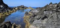 Meerwasserpools auf Flores