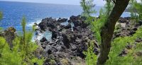 Meerwasserpools in Calheta de Nesquim