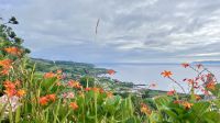 Miradouro de Nossa Senhora da Conceição, Faial Island, Horta, Azores, Portugal