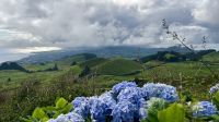Miradouro do Pico do Carvão, São Miguel Island, Ponta Delgada, Azores, Portugal